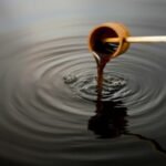 vinaigre noir ou kurozu