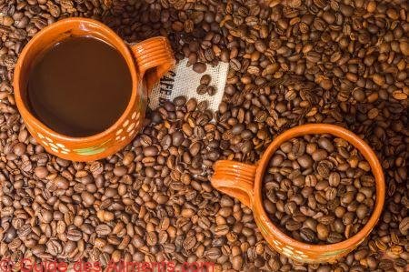 Café de Veracruz
