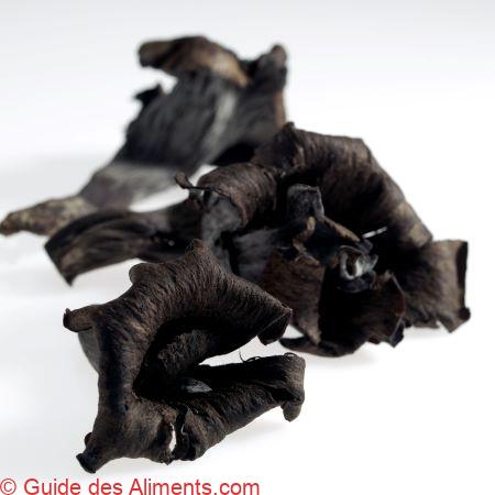 Craterellus cornucopioides