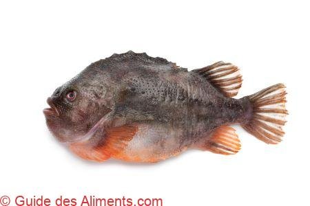 lompe, lump, cycloptère ou grosse poule de mer (Cyclopterus lumpus)