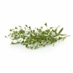 Capselle bourse-à-pasteur