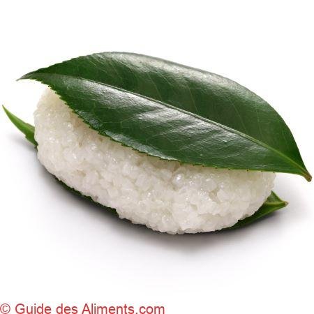 Tsubaki Mochi