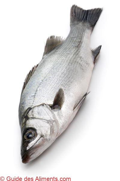 bar &agrave; nageoires noires ( Lateolabrax latus )