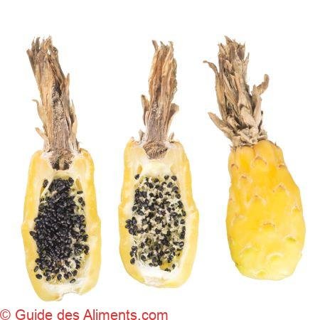 Fruit du cactus barrel