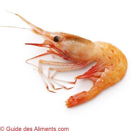 crevette botan (Pandalus nipponensis)