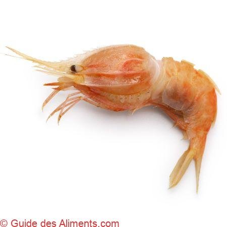 crevette nylon (Heterocarpus ensifer)