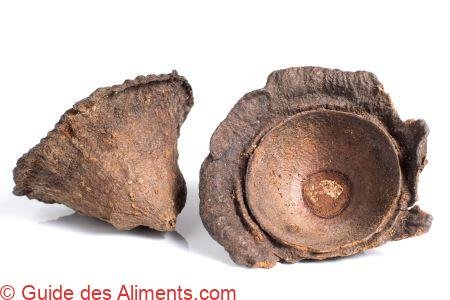 ishpingo ou eshpingo (Ocotea quixos)