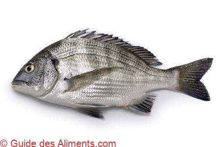 pagre t&ecirc;te noire (Acanthopagrus schlegelii)