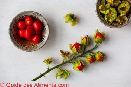 Morelle de Balbis