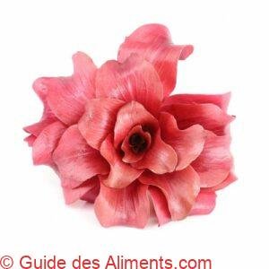 Radicchio Rose de Gorizia