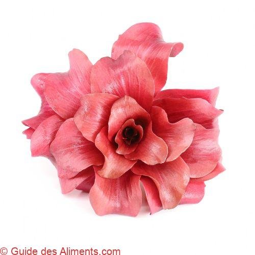 Radicchio Rose de Gorizia