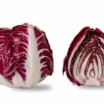 Radicchio di Verona