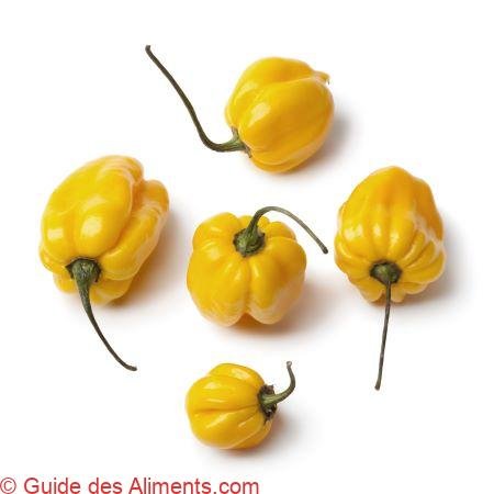 Scotch bonnet