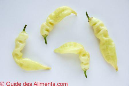 Sugar Rush Peach Pepper