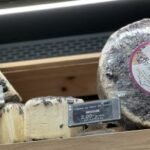 Tomme au Marc de Savoie
