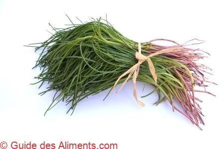 barbe de capucin