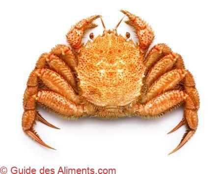 Erimacrus isenbeckii