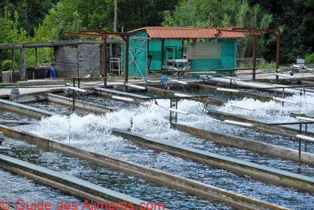 pisciculture
