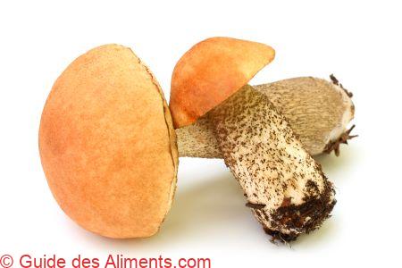 Leccinum aurantiacum