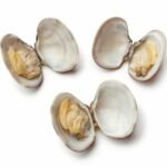 Palourdes fraîches cuites