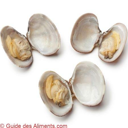 Palourdes fraîches cuites