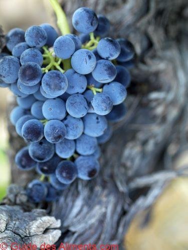 grenache noir