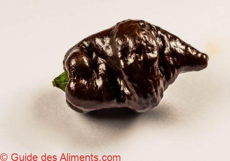 piment Chocolate Ghost Pepper