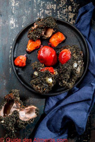 piure pyura chilensis