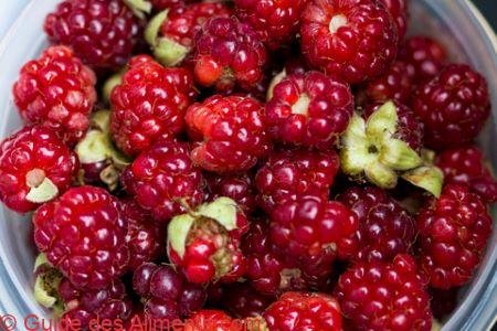 Boysenberries
