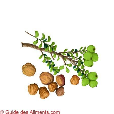 Kunzea pomifera