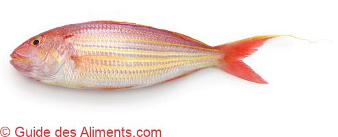 br&egrave;me filante dor&eacute;e ou la br&egrave;me filiforme &agrave; l&egrave;vres jaunes