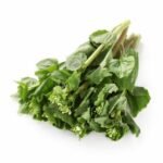 feuilles et tiges de wasabi fraîches, légumes japonais