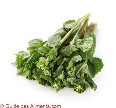 feuilles et tiges de wasabi fraîches, légumes japonais