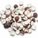 graines de nénuphar épineux