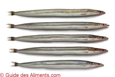 lan&ccedil;on &eacute;quille, Ammodytes tobianus