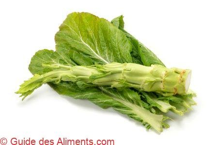 moutarde brune, ou moutarde chinoise (Brassica juncea)