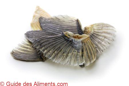 nageoires de poisson-globe s&eacute;ch&eacute;es