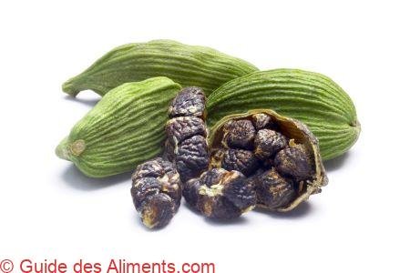 Cardamome