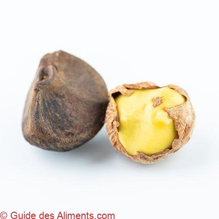 graines de Camellia oleifera