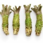 wasabi (racines)