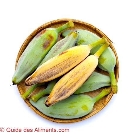 Silver bluggoe or Musa ABB group banana