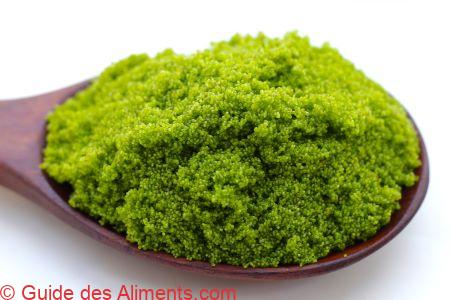 Wolffia globosa ou algue des marais, farine d'eau