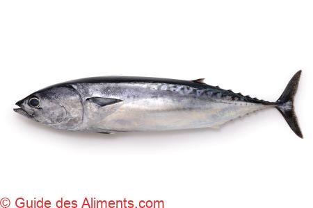 thon bonitou ( Auxis rochei )