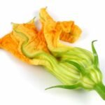 fleur de courgette