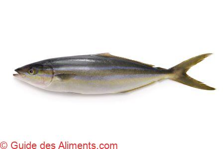 Coureur arc-en-ciel, Com&egrave;te saumon, Saumon des Cara&iuml;bes