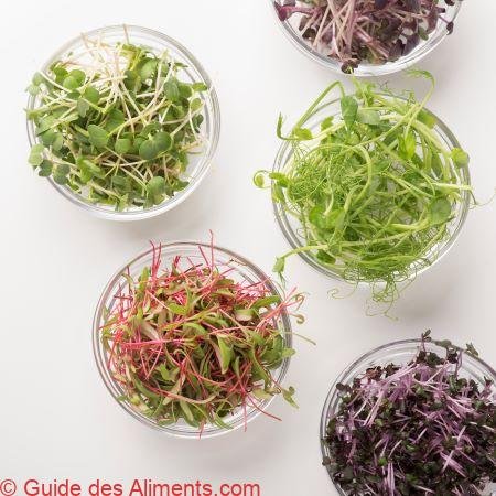 Micropousses