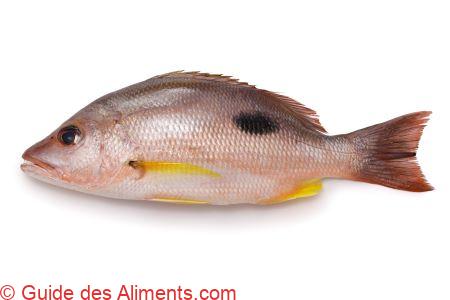 Vivaneau &eacute;toil&eacute; (Lutjanus stellatus)