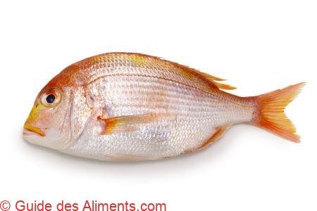 dorade à dos jaune (renkodai)