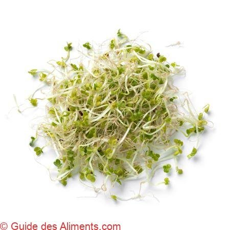 pousses de brocoli