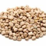 gesse, gesse commune, pois carré, lentille d'Espagne